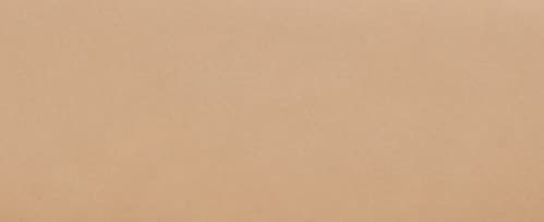 Warm Camel Beige