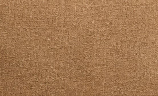Camel Brown