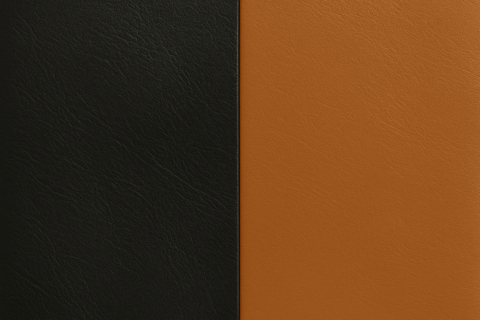 Dual Black and Tan
